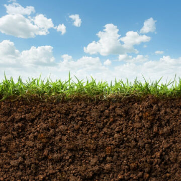 Η τροφή ως φάρμακο για το έδαφος και τους ανθρώπους