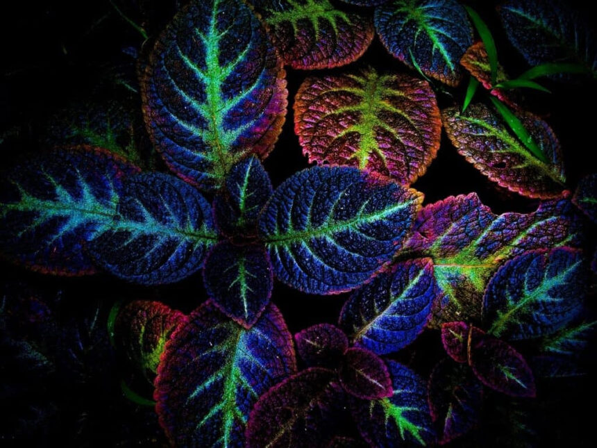 Η ιδέα του Samuel Hahnemann για τη ζωτική δύναμη: μυθοπλασία, κατασκευή ή πραγματικότητα;