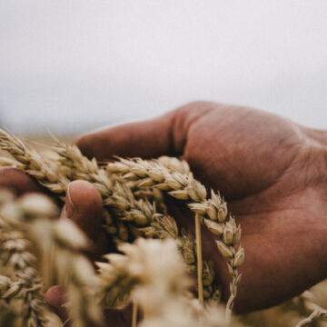 biodynamic 1 Η σύγχρονη Ανθρωπολογία διευρύνει τον ορίζοντα της Επιστήμης