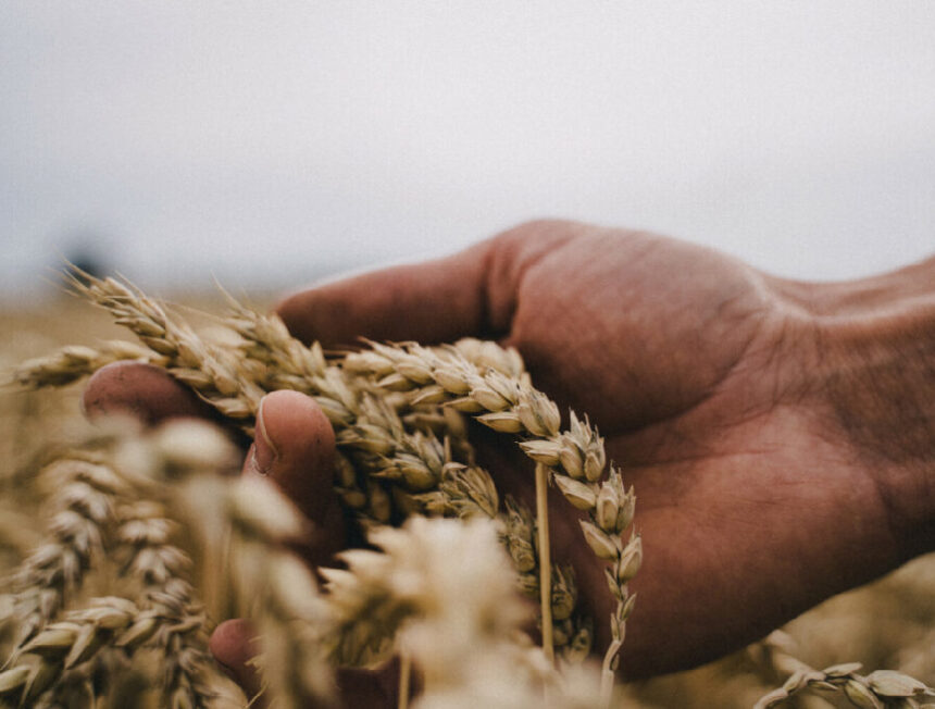 Η σύγχρονη Ανθρωπολογία διευρύνει τον ορίζοντα της Επιστήμης