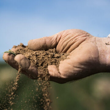 Τρίτο Διεθνές Συνέδριο Βιοδυναμικής Έρευνας