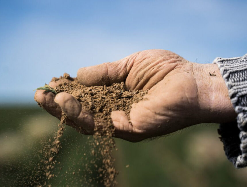 Τρίτο Διεθνές Συνέδριο Βιοδυναμικής Έρευνας