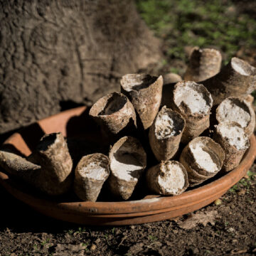 horns Νέες ανθρωπολογικές προοπτικές για την επέκταση της επιστήμης