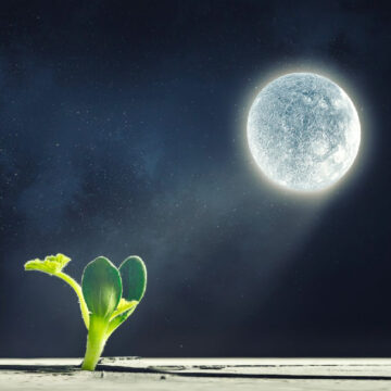 Οι διελεύσεις της Σελήνης επηρεάζουν την ανάπτυξη διαφόρων in vitro κυτταρικών καλλιεργειών