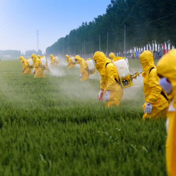 pesticides Επηρεάζουν τα φυτοφάρμακα το σωματικό βάρος;