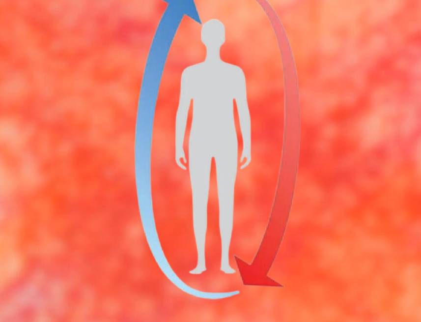 warmth Διαταραγμένος οργανισμός θερμότητας στις καρκινικές παθήσεις