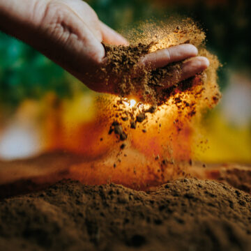 Hands releasing soil in a vibrant natural setting during daylight hours Βιοδυναμικά Παρασκευάσματα: Λίγη Ύλη – Μεγάλη Επίδραση