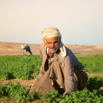 Πρασινίζοντας την Έρημο – Όταν το Όραμα Γίνεται Πολιτισμός