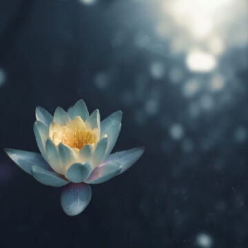 soul anthro Ανθρωποσοφία και Ψυχιατρική: Προς μια ενιαία κατανόηση σώματος, ψυχής και πνεύματος.