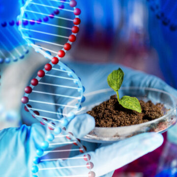 Η μάχη ενάντια στη χαλάρωση των κανόνων γονιδιακής τροποποίησης στην Ευρώπη