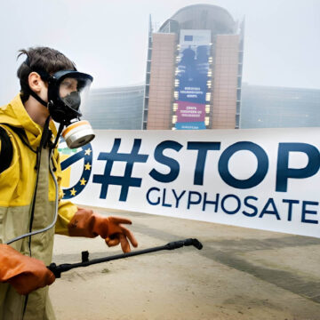 stop glyphosate Νίκη για τις μέλισσες και τη βιοποικιλότητα – Απόφαση του Δικαστηρίου της ΕΕ για τη Γλυφοσάτη