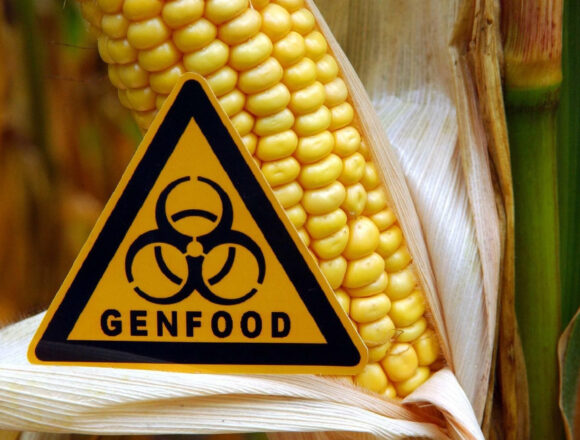 genfood Ένας «Συμβιβασμός» σε Βάρος των Καταναλωτών – Συμφωνία στην ΕΕ για τα Γενετικά Τροποποιημένα Τρόφιμα