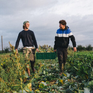 Οι δράσεις του Γεωργικού Τμήματος του Goetheanum: καλλιεργώντας κοινότητα και γνώση