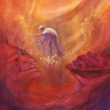 Οι Ξεχασμένοι Αγρότες: Πώς η Ευρώπη Χάνει τη Γεωργία της