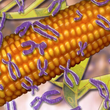 Γενετική Μηχανική στην Ευρώπη