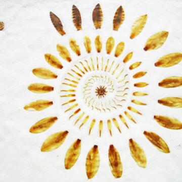 Γκαιτεανική παρατήρηση στην ζωή και τις κοινωνικές επιστήμες